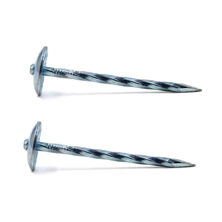 Electro-Galvanized Umbrella Head Roofing Nail-Hebei Sinostar-1